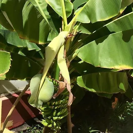 Villa Island Village Costa Adeje (Tenerife)